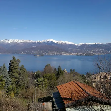 Lo Scoiattolo E La Noce Stresa